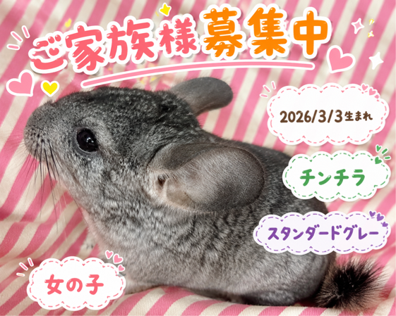 2026.3.3生まれ